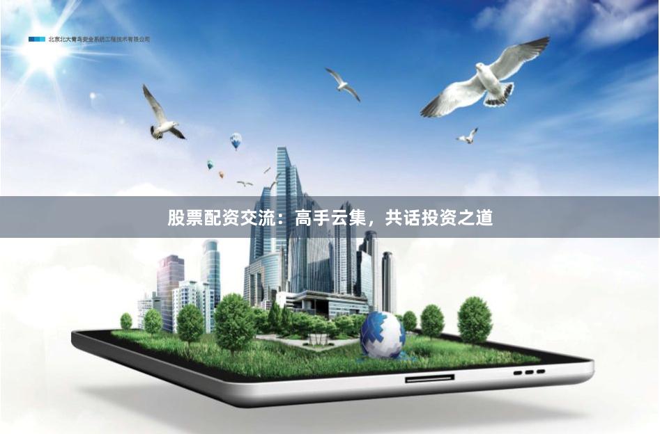股票配资交流：高手云集，共话投资之道